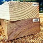 madera antigua vs moderna